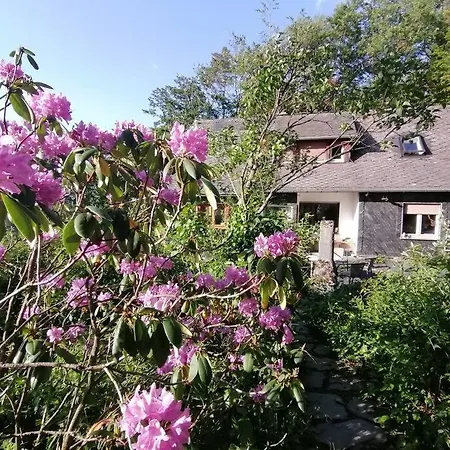 Wellnessoase Im Gruenen Direkt Am Mittelrheintal